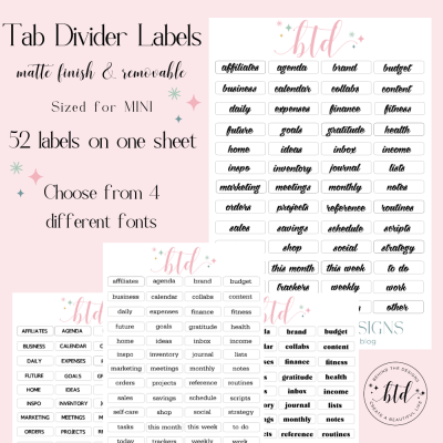 Divider Labels Sticker Sheet Mini Disc Bound